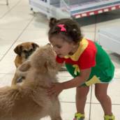 Adoções e Doações de Pets 