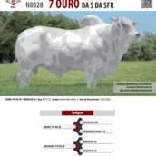 Touro Nelore Pintado 7 Ouro da S da SFR (N0328)
