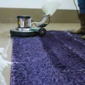 Descontaminação de tapetes