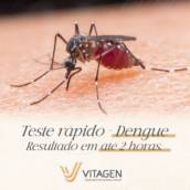 Teste rápido para Dengue 