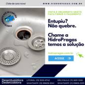 Desentupidora de Ralo 