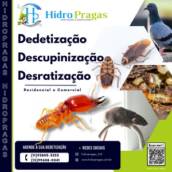 Controle de Pragas