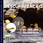 Descupinizadora