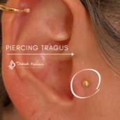 Piercing Tragus
