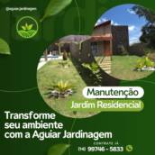 Manutenção de jardim 