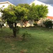 Limpeza de terreno 