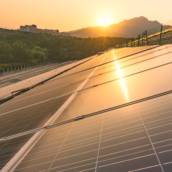 Energia solar Não me Toque