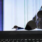 Troca de tela de notebook
