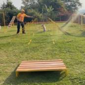 Treinamento Animal em Bauru