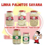 Palmito