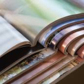 Revista Científica