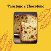 Panetones e Chocotones artesanais prontos toda semana