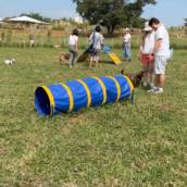 Cursos e mentoria Pet em Bauru