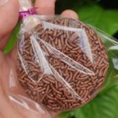 Bombom de Palito de Chocolate e com recheio em Bauru