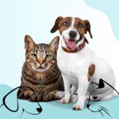 Atendimento Veterinário 