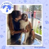 Atendimento veterinário em Jundiaí