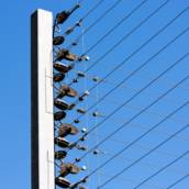 Instalação e Manutenção de cerca elétrica