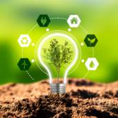 Sustentabilidade