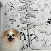 Consultório veterinário
