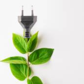 Fonte de energia renovável