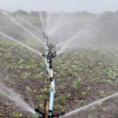 Irrigação em Guanambi