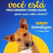 Gestão de mídias sociais