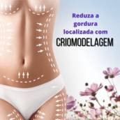 Criomodelagem