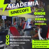 Academia Sinecofi 
