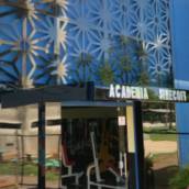 Academia Sinecofi 