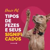 Você sabia ???