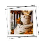 BODAS