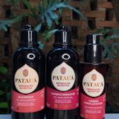 Shampoos e Condicionadores 