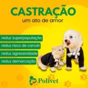 CastraçãoCastração de animais 