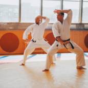 Artes marciais em São Paulo