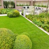 Pós-Graduação em Paisagismo e Jardinagem em EAD em Bauru e Região