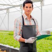 Pós-Graduação em Agronegócios em EAD em Bauru e Região