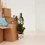 Fretes - Transporte Eficiente e Seguro em Fraiburgo, SC