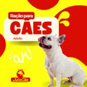 Comprar Ração para Cachorro Adulto em Itapetininga