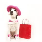 Tintura Para Pet