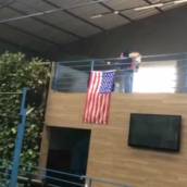 Desinsetização Completa para Ambientes Seguros em Limeira - SP