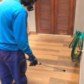 Controle de Pragas em Araras com Segurança e Garantia