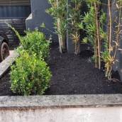 Jardinagem