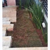 Montagem de Jardim