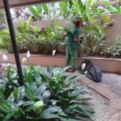 Irrigação Automática: Praticidade e Eficiência para seu Jardim em Florianópolis