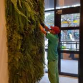 Paisagismo em Florianópolis: Transforme Seu Espaço com Beleza e Sustentabilidade