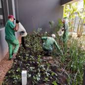 Jardinagem em Florianópolis: Cuidando do Seu Espaço Verde com Excelência