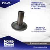 Moringa do Eixo Piloto em Aracaju