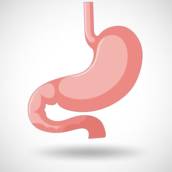 Consulta com Gastro