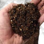 Substrato Agrícola – A Base Ideal para um Cultivo Saudável e Produtivo em Avaré/SP