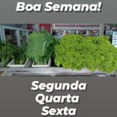 Ofertas de Segunda, Quarta e Sexta 